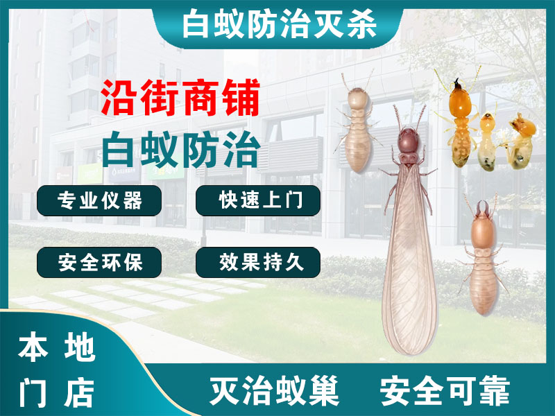 连云沿街商铺白蚁防治