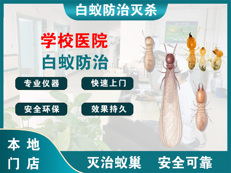连云学校医院白蚁防治
