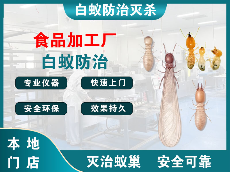 连云食品加工厂白蚁防治