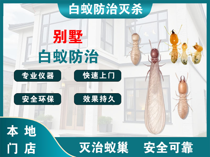 连云别墅白蚁防治