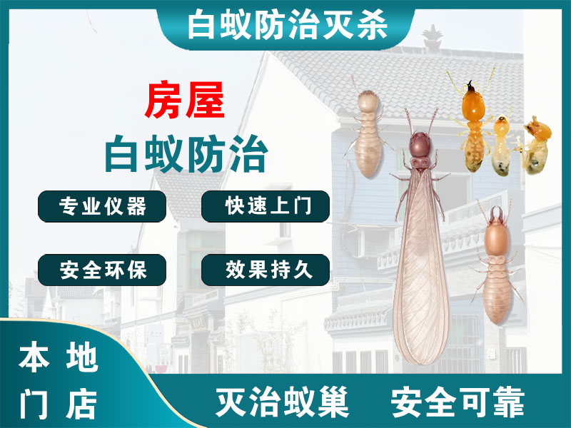 连云房屋白蚁防治